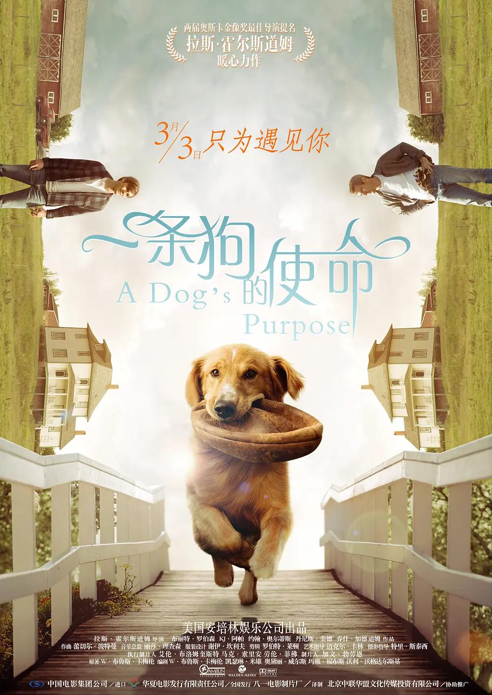 汉服女装露个全奶(❌)