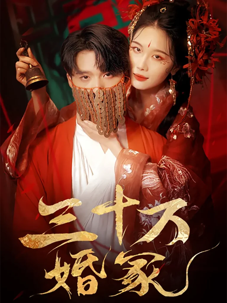 《三十万婚冢》深度内容解析