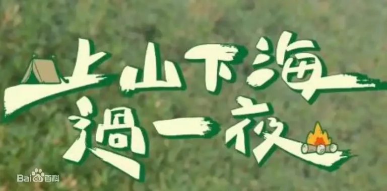 《上山下海过一夜》全集高清完整版在线观看与剧情解析