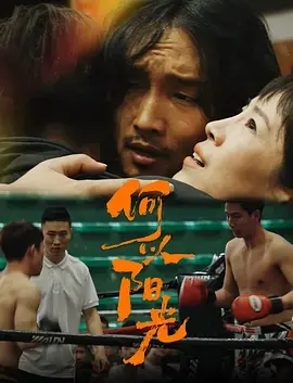 《何以阳光》深度内容解析