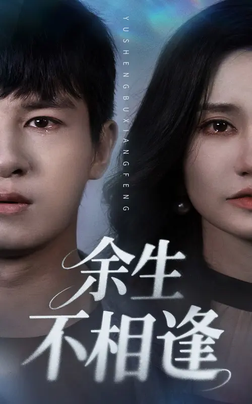 《余生不相逢》深度内容解析