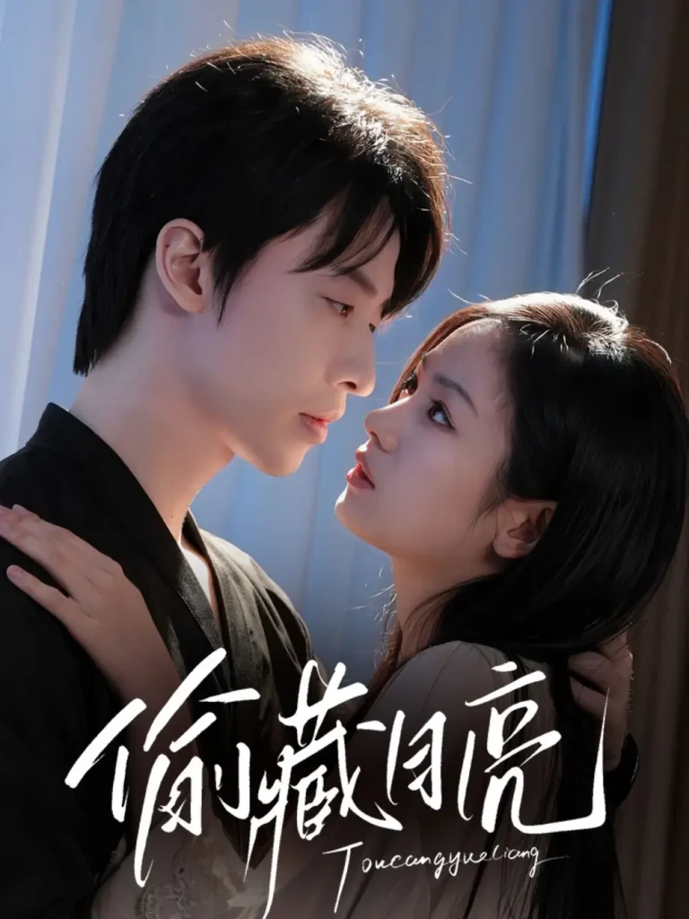 《偷藏月亮》深度内容解析