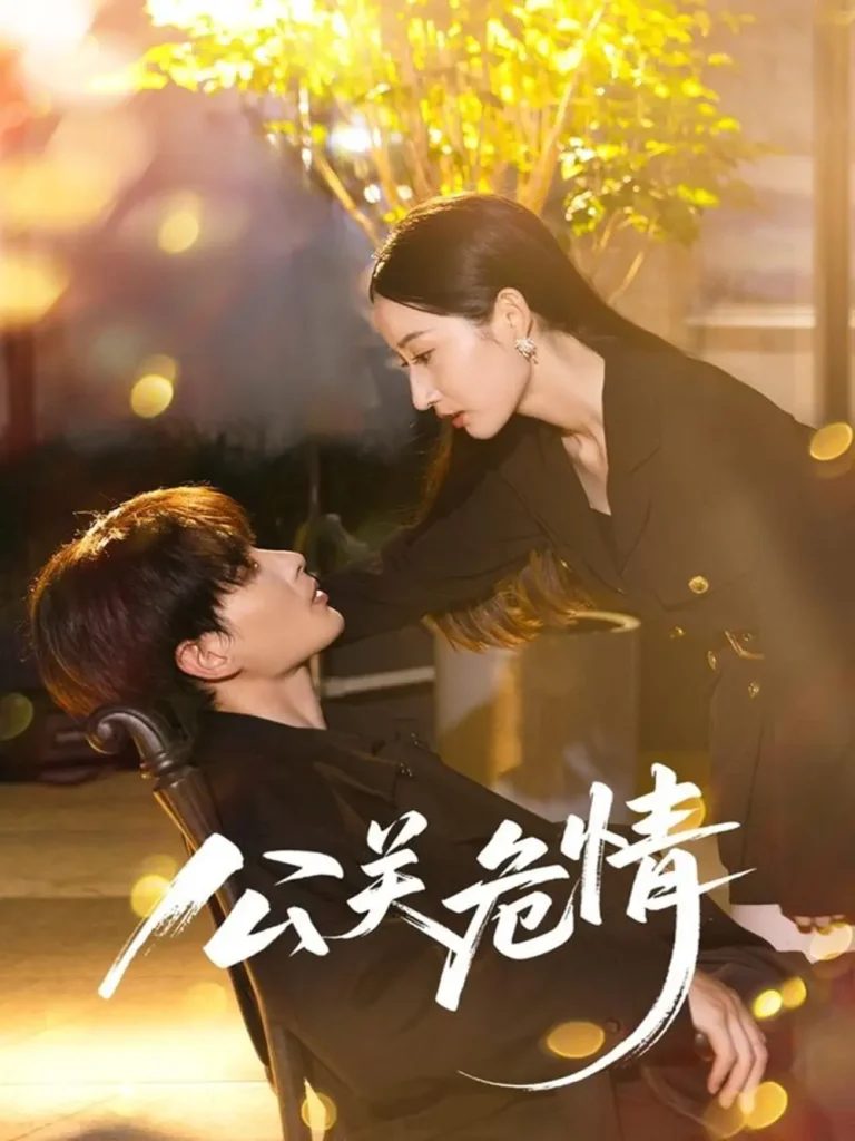 《公关危情》全集高清完整版在线观看与剧情解析