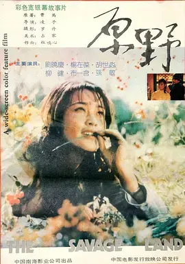 《原野1981[电影解说]》全集高清完整版在线观看与剧情解析