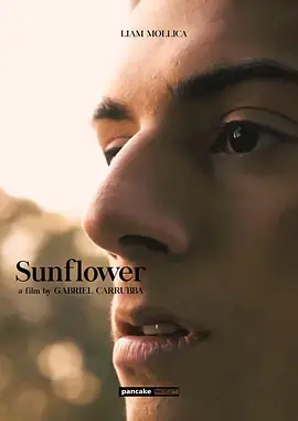 向日葵2023 免费在线观看