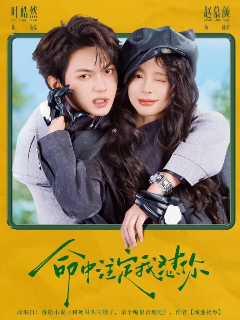 《命中注定我怼你》全集高清完整版在线观看与剧情解析