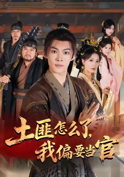 《土匪怎么了，我偏要当官》全集高清完整版在线观看与剧情解析