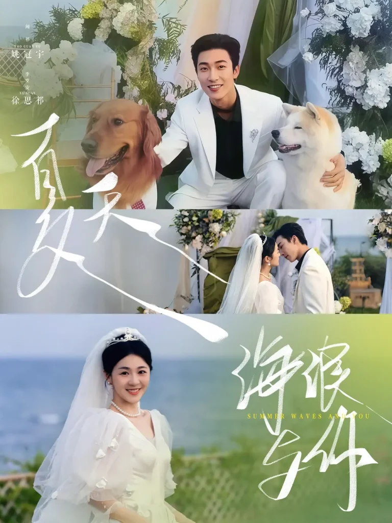 《夏天，海浪与你》深度内容解析