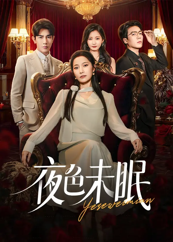 《夜色未眠》深度内容解析