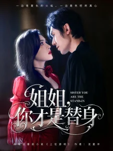 姐姐你才是替身
