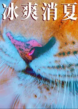 《寒冰白血》全集高清完整版在线观看与剧情解析