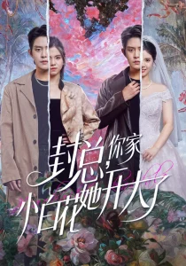 封总，你家小白花她开大了＆大佬你的牙粘口红了