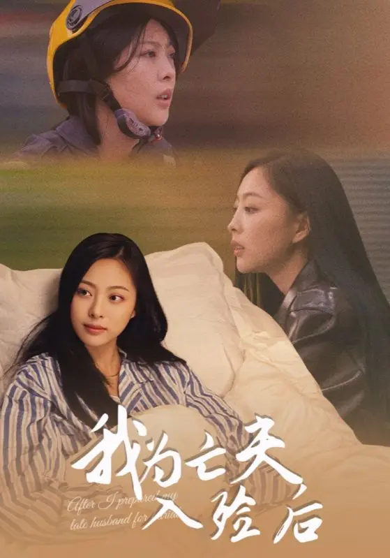 《我为亡夫入殓后》深度内容解析