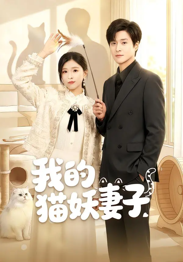 《我的猫妖妻子》深度内容解析