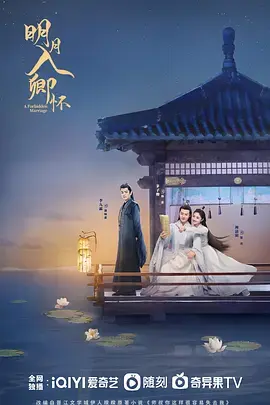 《明月入卿怀》深度内容解析