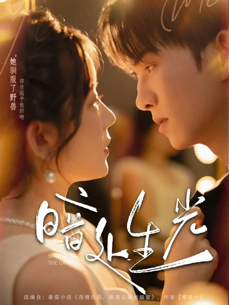 《暗处生光》全集高清完整版在线观看与剧情解析