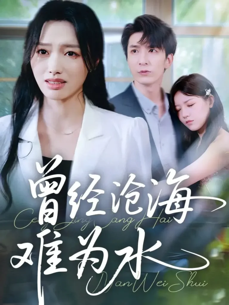 《曾经沧海难为水》深度内容解析