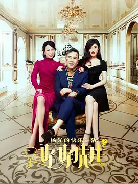 《杨光的快乐生活之好好先生》全集高清完整版在线观看与剧情解析