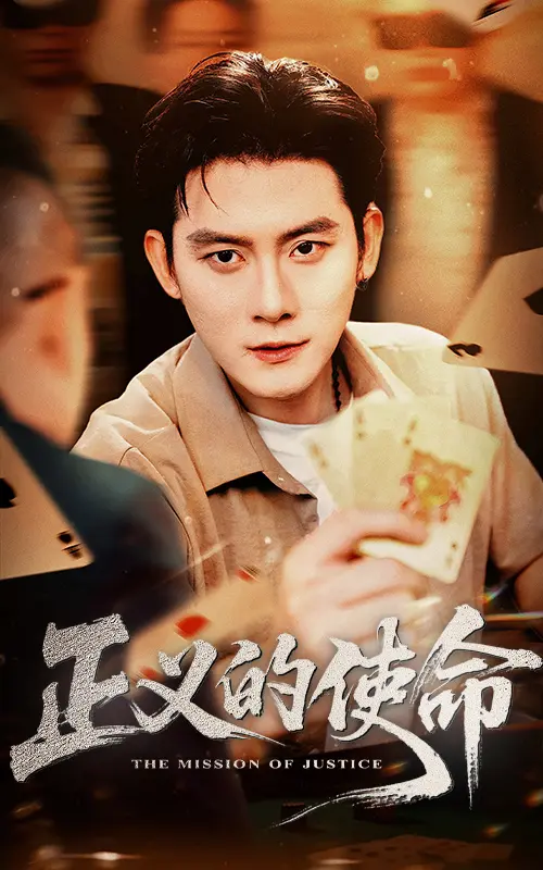 《正义的使命》全集高清完整版在线观看与剧情解析