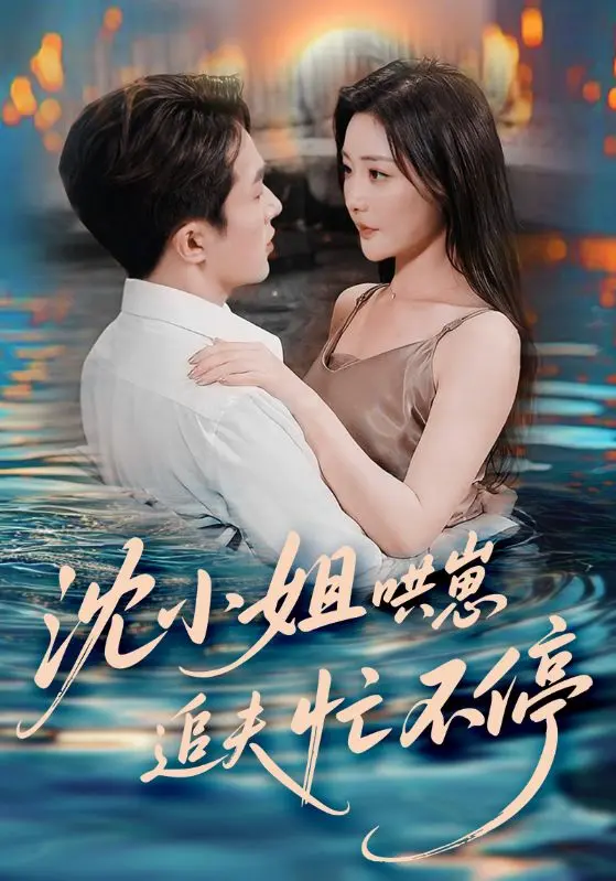 《沈小姐哄崽追夫忙不停》全集高清完整版在线观看与剧情解析