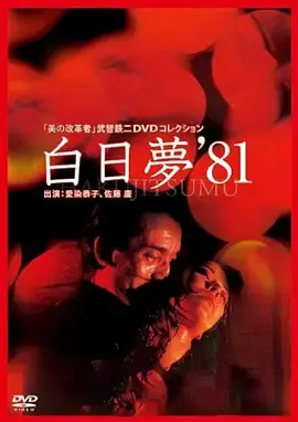 《白日梦1981》深度内容解析