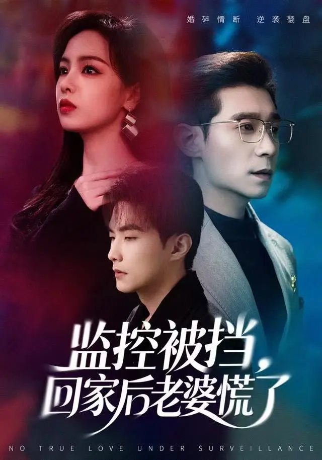 《监控被挡，回家后老婆慌了》全集高清完整版在线观看与剧情解析