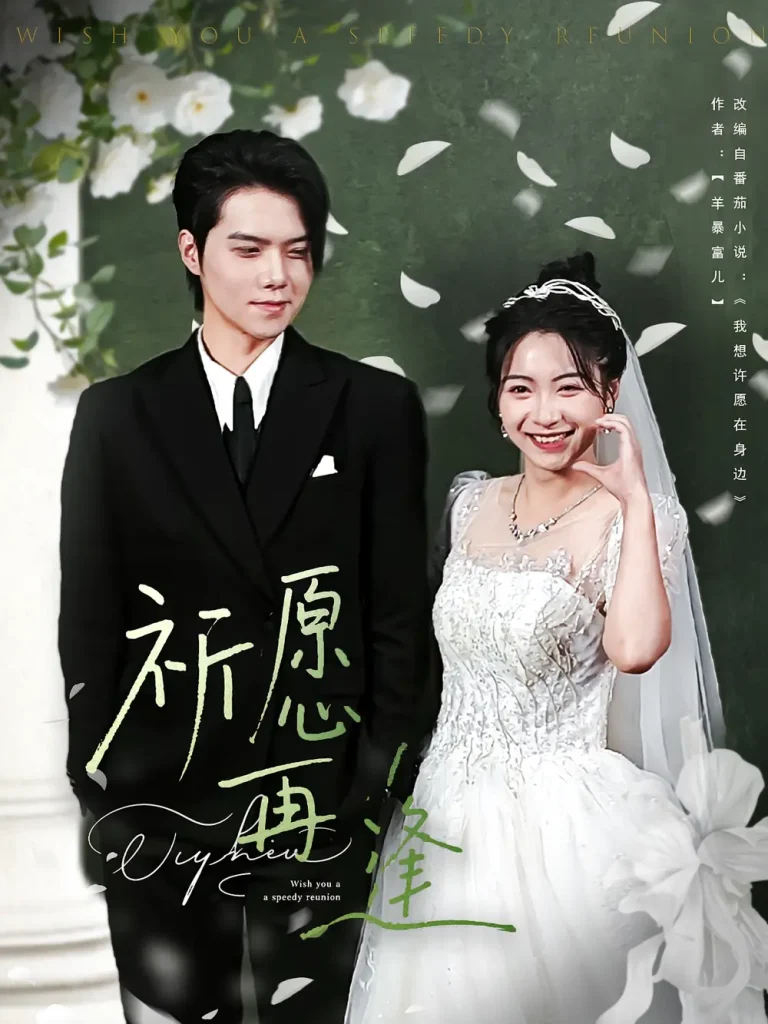 《祈愿再逢》全集高清完整版在线观看与剧情解析