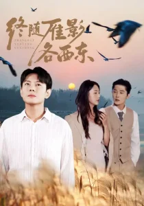 终随雁影各西东