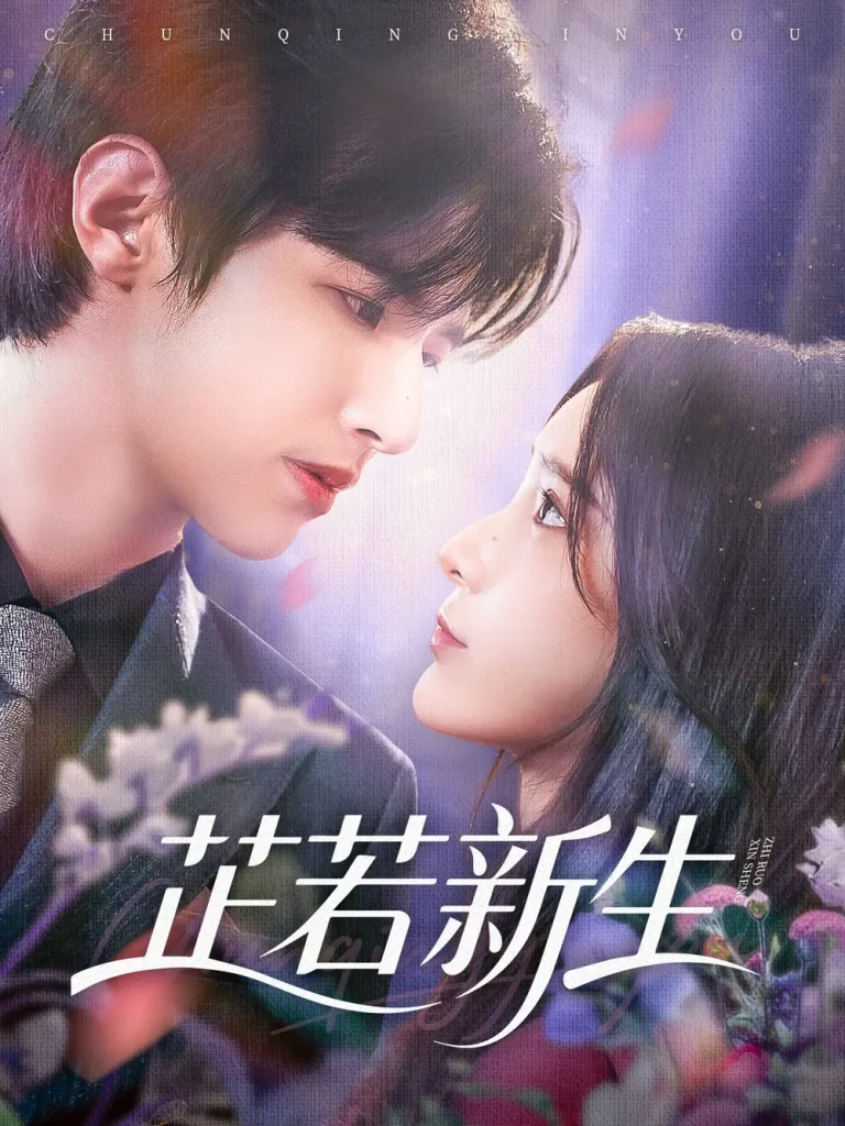 《芷若新生》深度内容解析