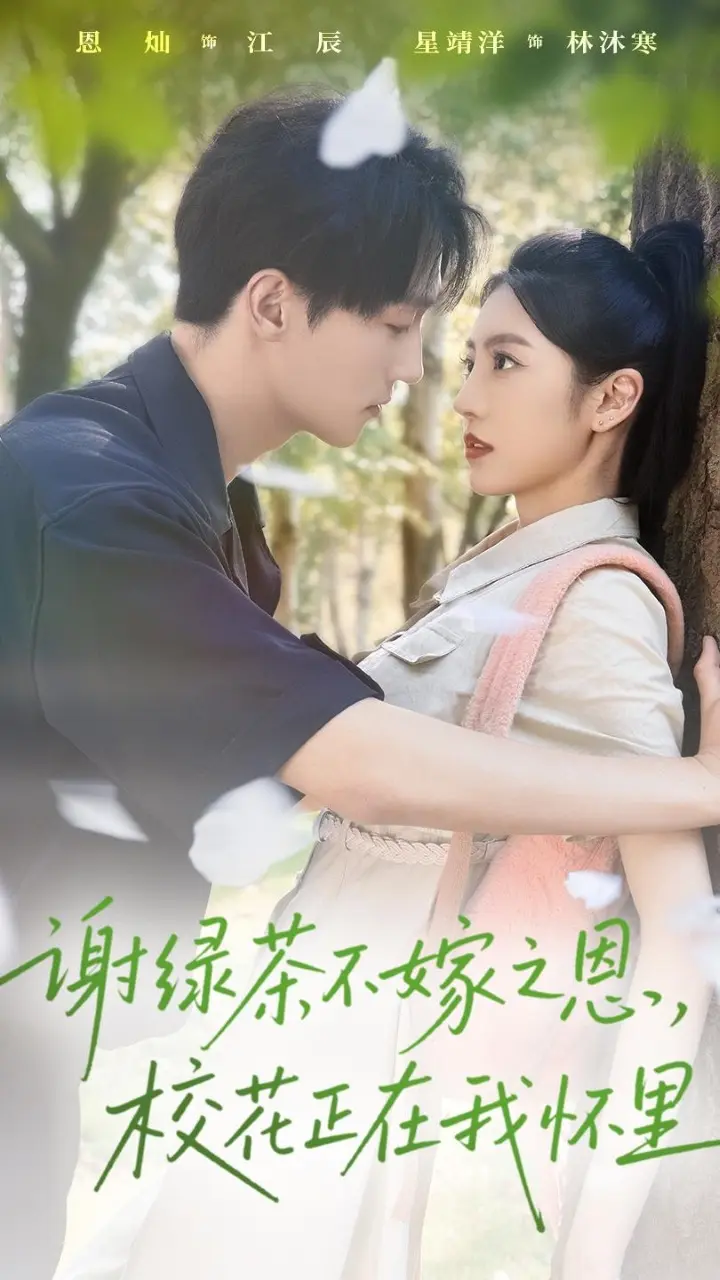 《谢绿茶不嫁之恩校花正在我怀里》全集高清完整版在线观看与剧情解析