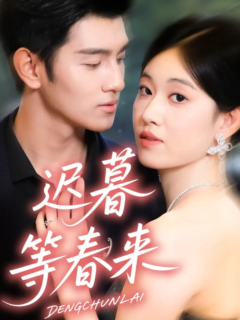 《迟暮等春来》深度内容解析