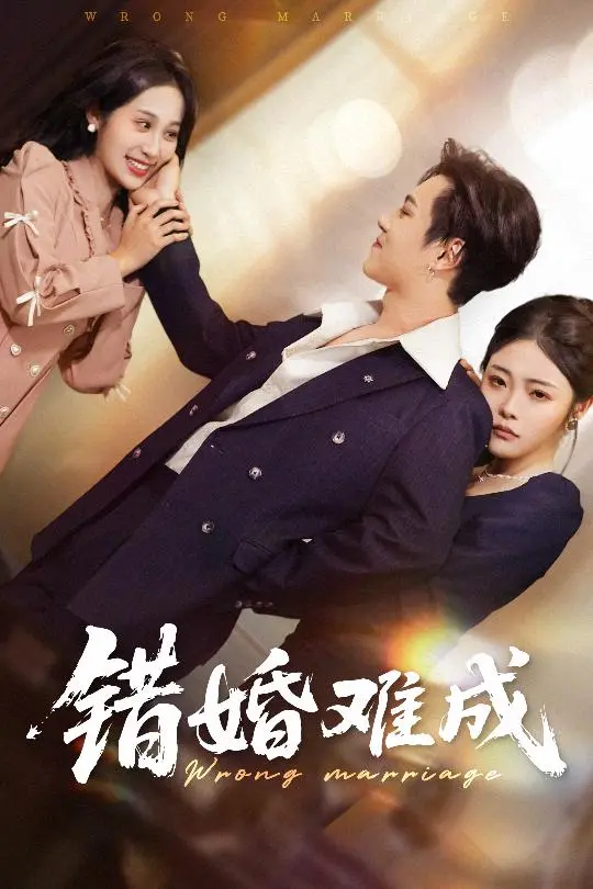 《错婚难成》全集高清完整版在线观看与剧情解析