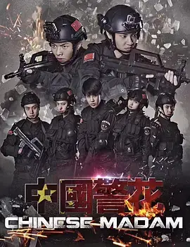 《中国警花》全集高清完整版在线观看与剧情解析