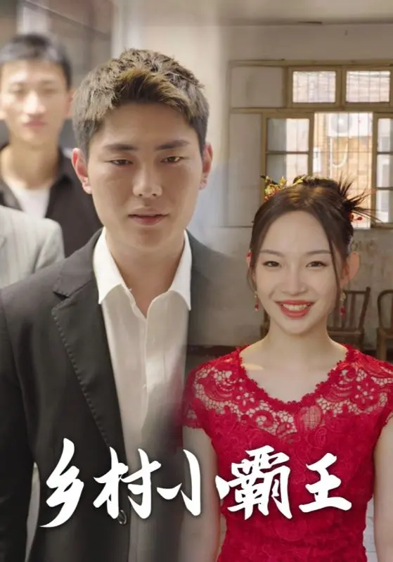 《乡村小霸王》全集高清完整版在线观看与剧情解析