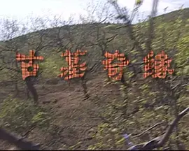 《古墓奇缘2009》全集高清完整版在线观看与剧情解析