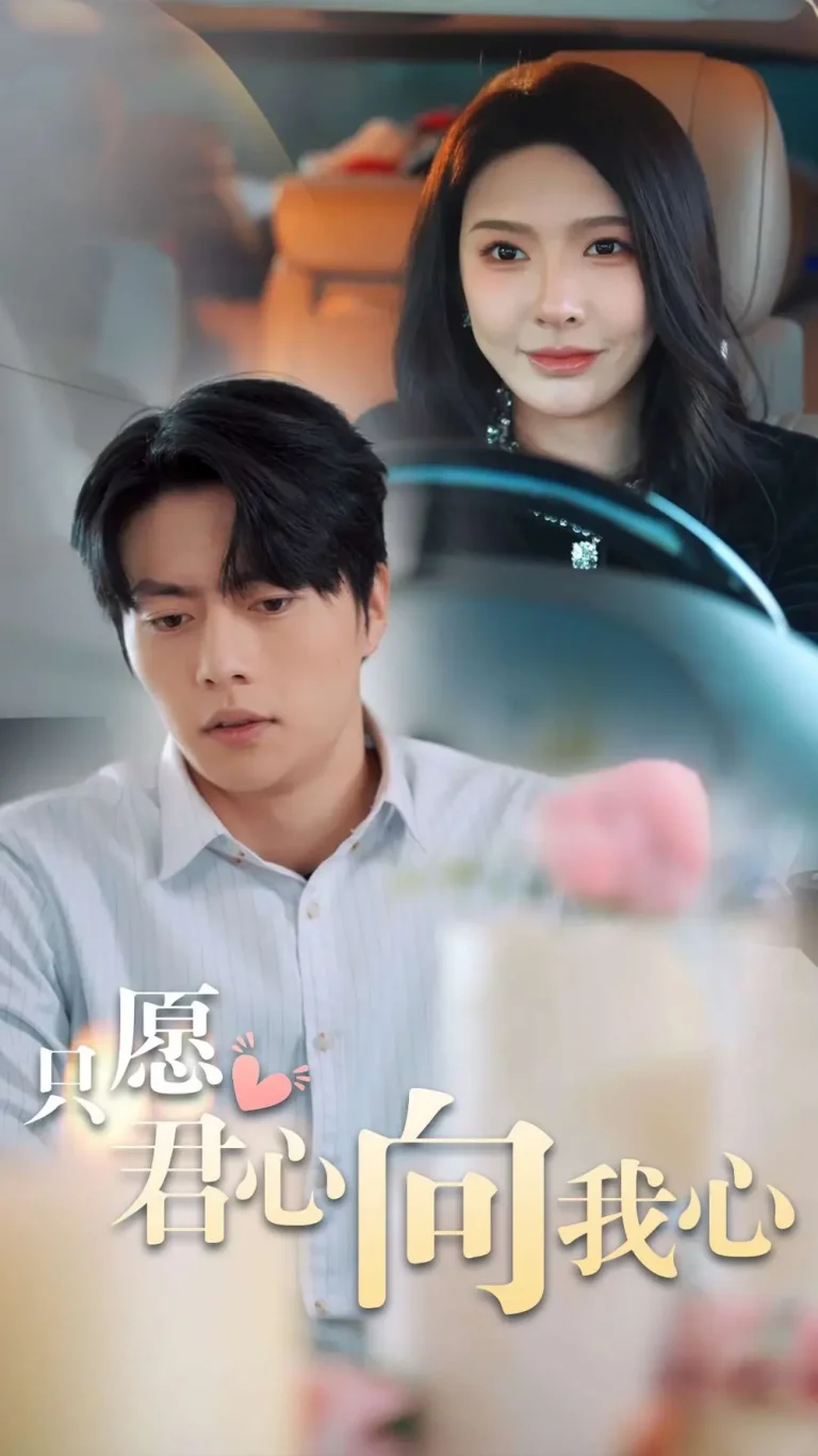 《只愿君心向我心》全集高清完整版在线观看与剧情解析