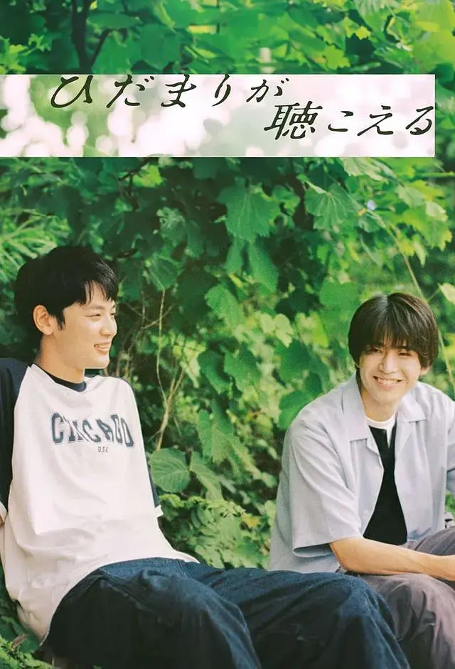 《向阳之处必有声》全集高清完整版在线观看与剧情解析