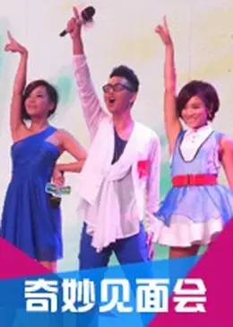 《奇妙见面会》全集高清完整版在线观看与剧情解析