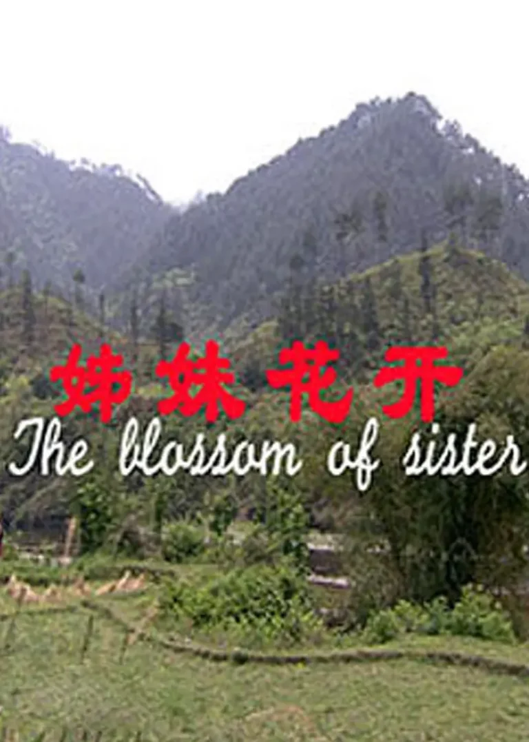 《姊妹花开》全集高清完整版在线观看与剧情解析