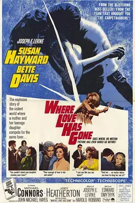 《情归何处》全集高清完整版在线观看与剧情解析