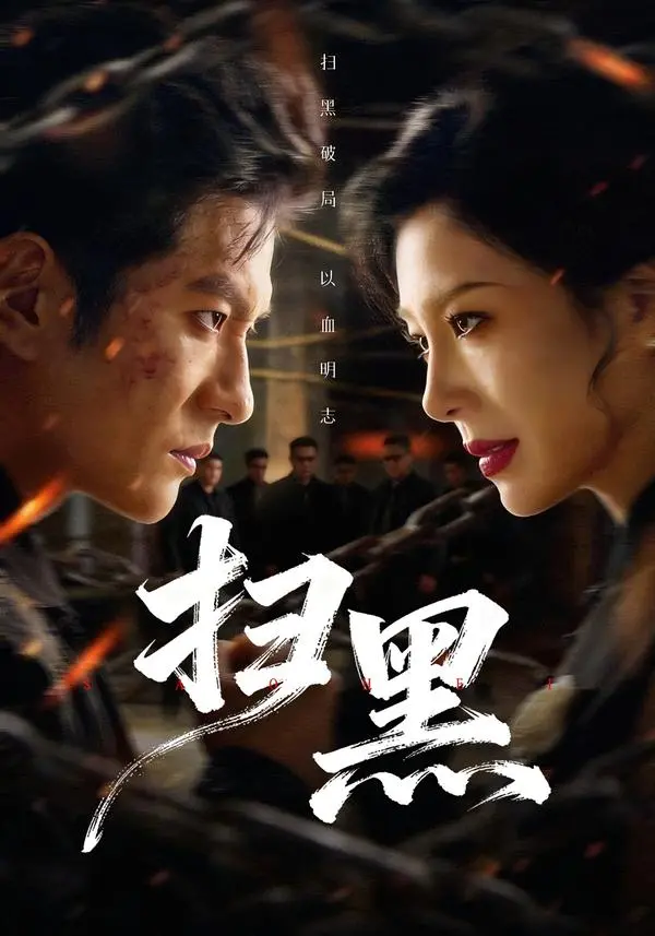 《扫黑》全集高清完整版在线观看与剧情解析