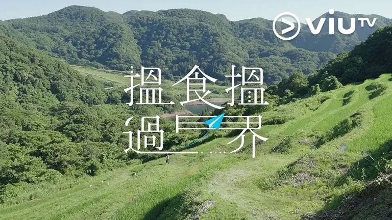 《揾食揾过界》全集高清完整版在线观看与剧情解析