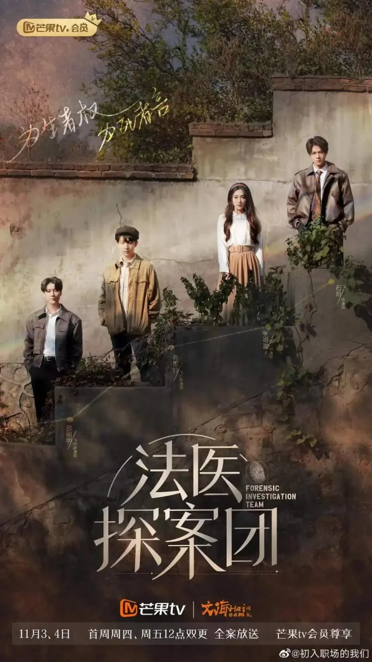 《法医探案团》全集高清完整版在线观看与剧情解析
