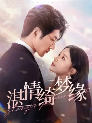 《湛情琦梦缘》全集高清完整版在线观看与剧情解析