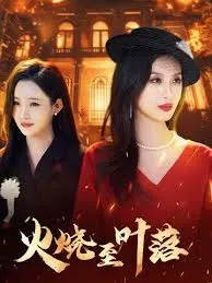 《火烧至叶落》全集高清完整版在线观看与剧情解析