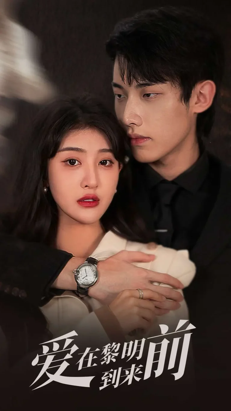 《爱在黎明到来前》全集高清完整版在线观看与剧情解析