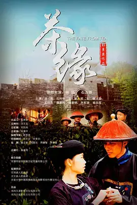 《茶缘2020》全集高清完整版在线观看与剧情解析