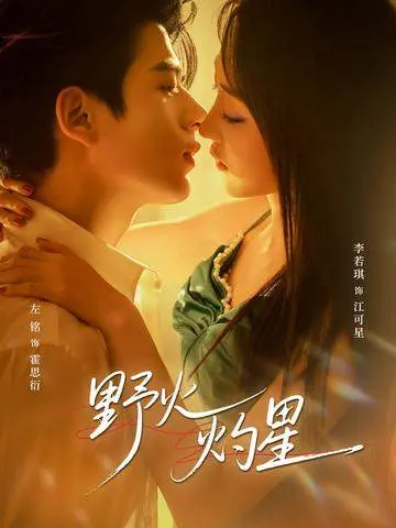 《野火灼星》全集高清完整版在线观看与剧情解析