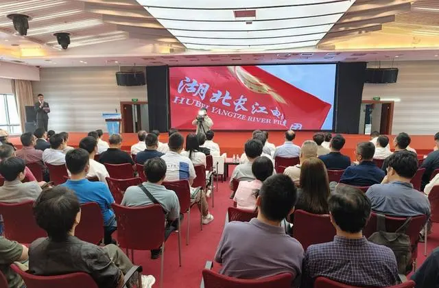 《真探·一九四九》通过党史审核即将开机，聚焦武汉解放前夕地下战线 相关图片