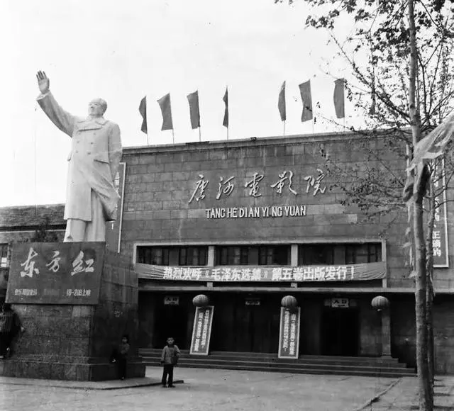 《桃姐》重映引发代际观影讨论，许鞍华作品再成老年题材参照系 细节速览